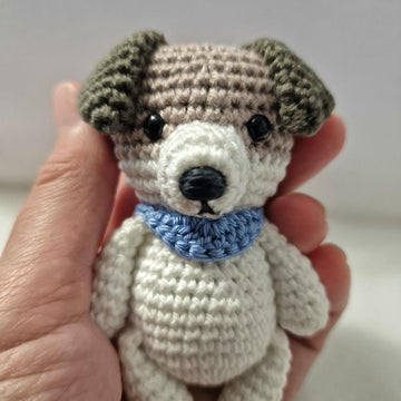 Jack Russell Terrier Dog