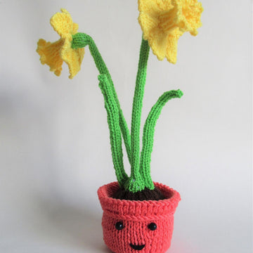 Daffodils in a Pot Chocolate Orange Cover Cozy