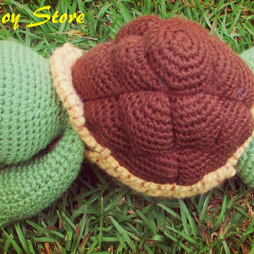 Verne the Turtle