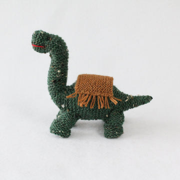 Dinosaur Kid
