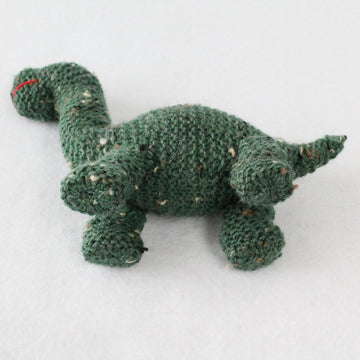 Dinosaur Kid