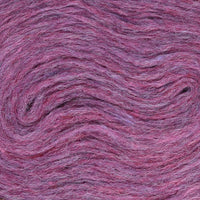 Hyacinth Heather (1429)