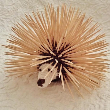 Petunia Porcupine Toothpick Holder
