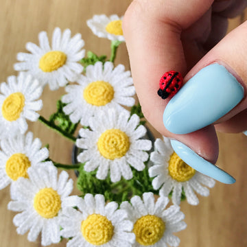 Chamomile flower and ladybug