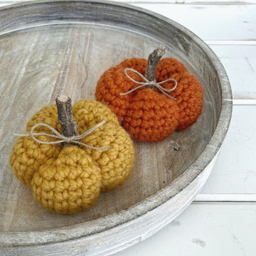 Harvest Pumpkins 052