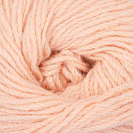 Salmon (302)