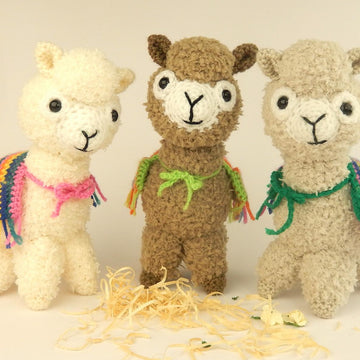 Alicia the Alpaca