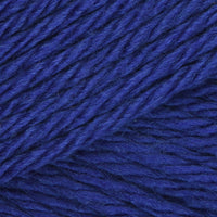 Blue Iris (172)