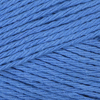 Blueberry (18725)