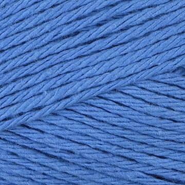 Blueberry (18725)