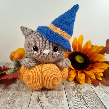 Salem the Pumpkin Cat