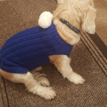 Bailey's Blue Jacket