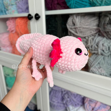 Anna the Medium Axolotl