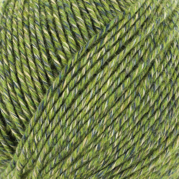 Olives in the Forest (35514)