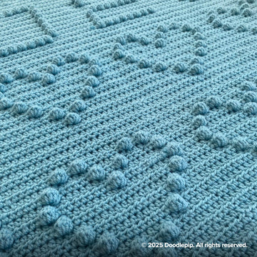 Crochet Born in Blanket 2025 - 2029