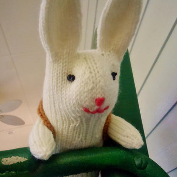 Basket Bunnies