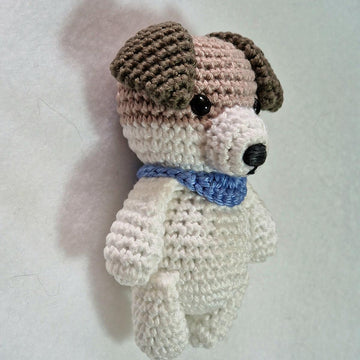 Jack Russell Terrier Dog