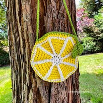 Fruit slice summer bag