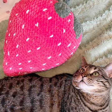 Giant Strawberry Pillow
