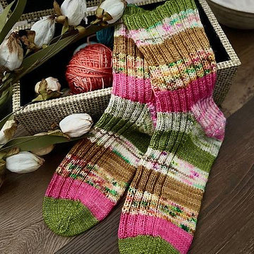 Stash Dash Socks