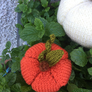 Pumpkin Duo