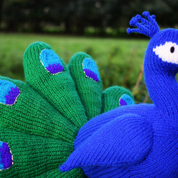 Norman the Peacock