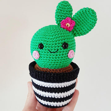 Cactus Friends