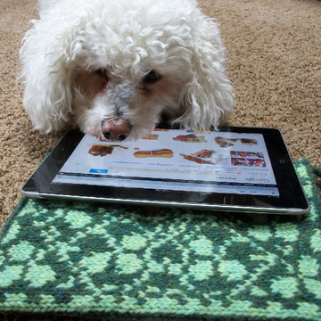 Paddy' s Shamrocks I-Pad Case