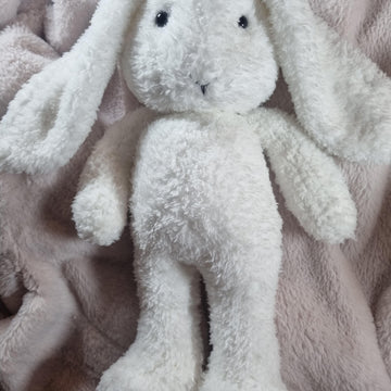 Edward the Easter Bunny