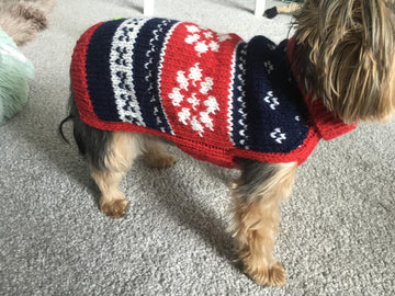 Nordic Dog Sweater