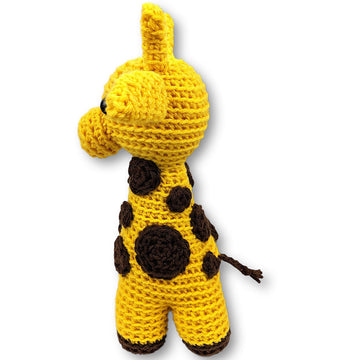 Jacob the Giraffe