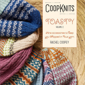 Toasty Collection Volume 2 by Rachel Coopey
