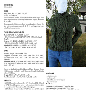 Mesa Hoodie