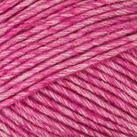 Fuchsia (049)