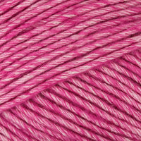 Fuchsia (049)