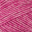 Fuchsia (049)