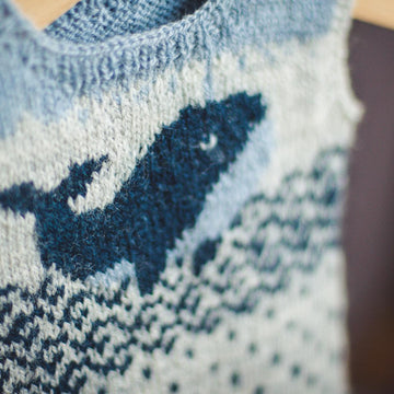 Max Whale Sweater (sleeveless)