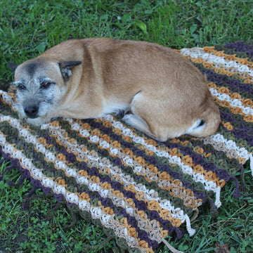 Venetian Autumn Shawl