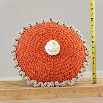 Pumpkin Pie Pillow