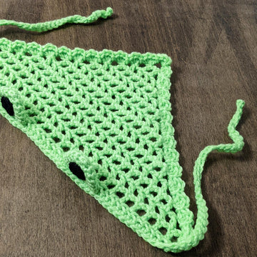 Froggy Bandana