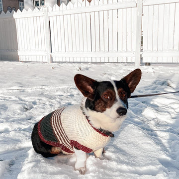 Doggo no 2 sweater