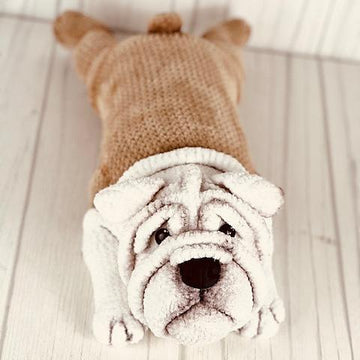 English Bulldog