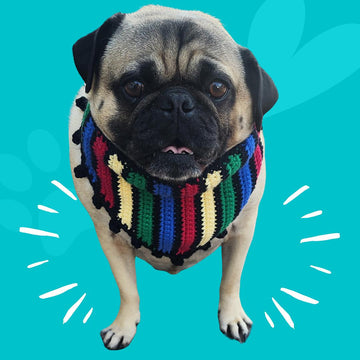 Cinco de Mayo Pet Bandana