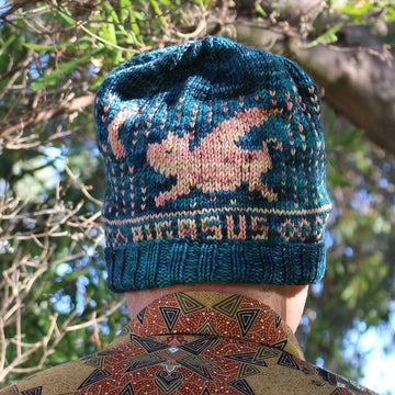 Pigasus Hat