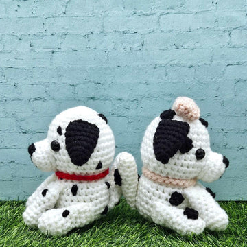 Dalmatian Couple