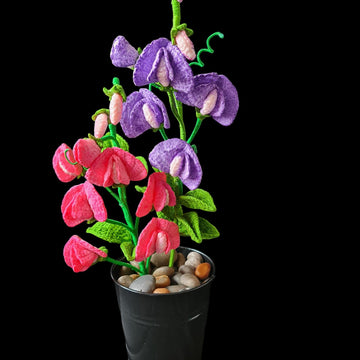 Crochet Sweet Peas Flowers
