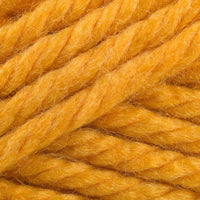 Atlanta Apricot (131)
