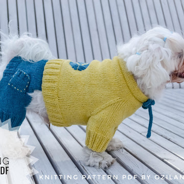 Minion jumpsuit for dog