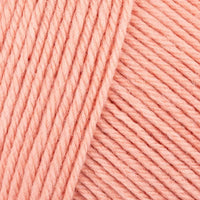 Flamingo (57)