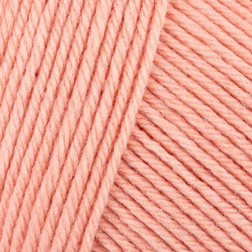 Flamingo (57)
